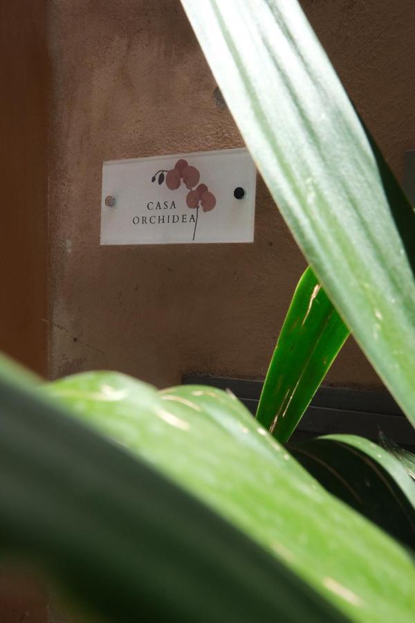 罗马Casa Orchidea公寓 外观 照片